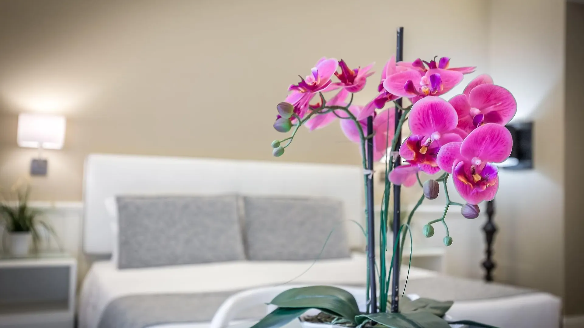 Bed and breakfast B&B La Residenza Dell'Orafo Florencia